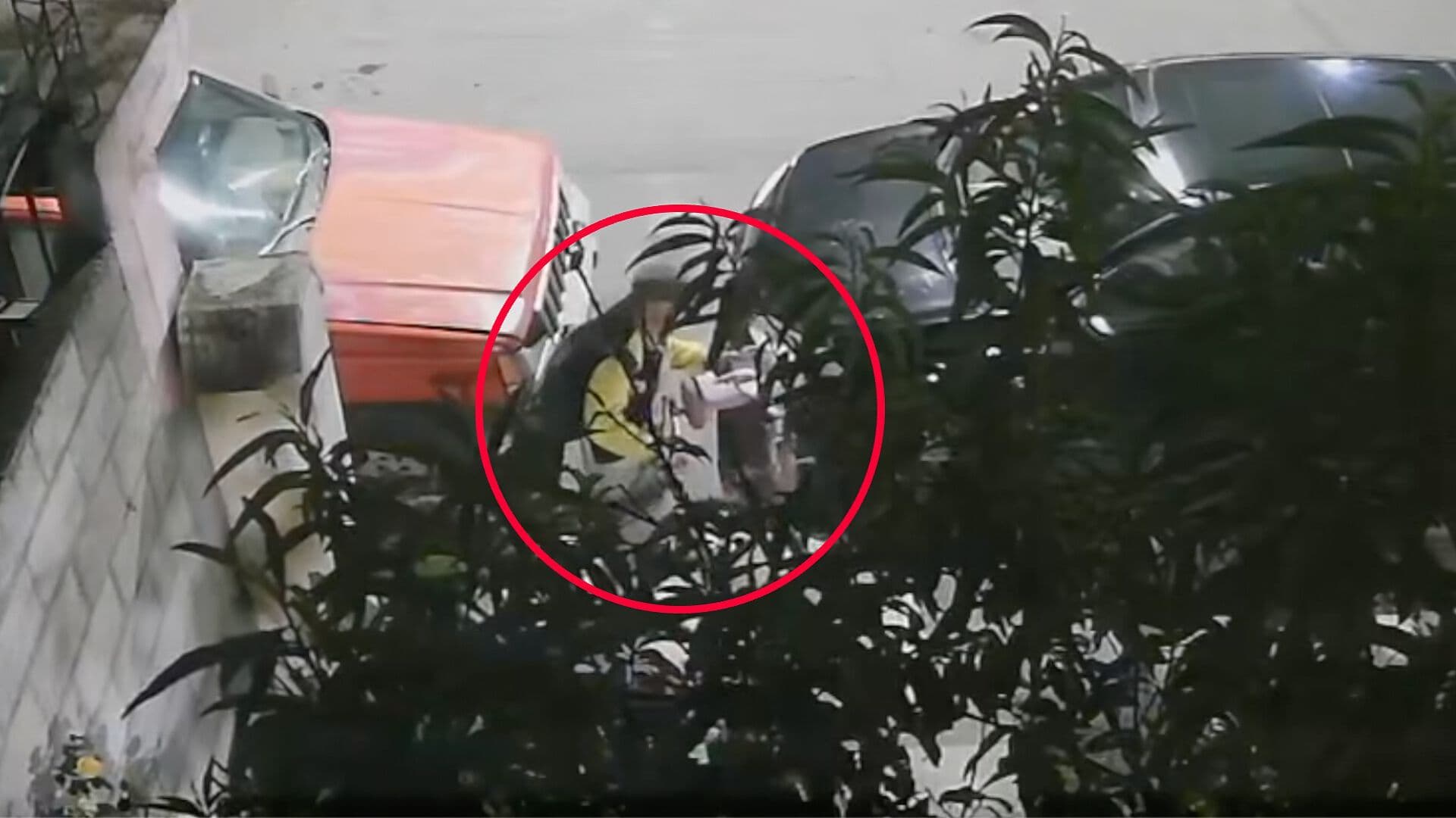Video Ladrón Robo Triciclo Juguete Unidad Habitacional El Moral San Martín Texmelucan Puebla