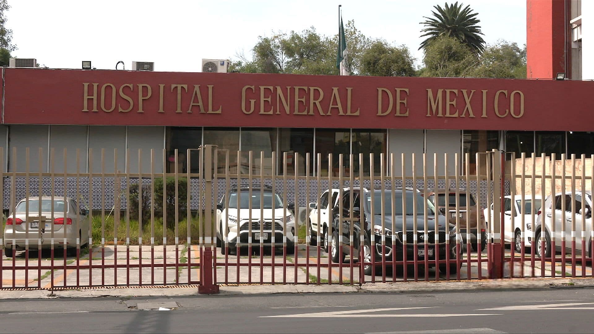 Huevo Podría Estar Detrás del Brote de Salmonella en el Hospital General de CDMX