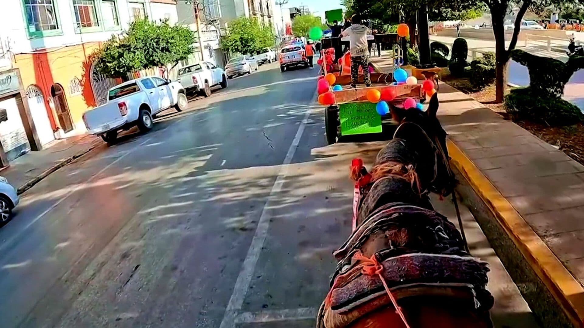 Torreón Jubila a 130 Caballos, Yeguas, Mulas y Burros Utilizados por Carromateros
