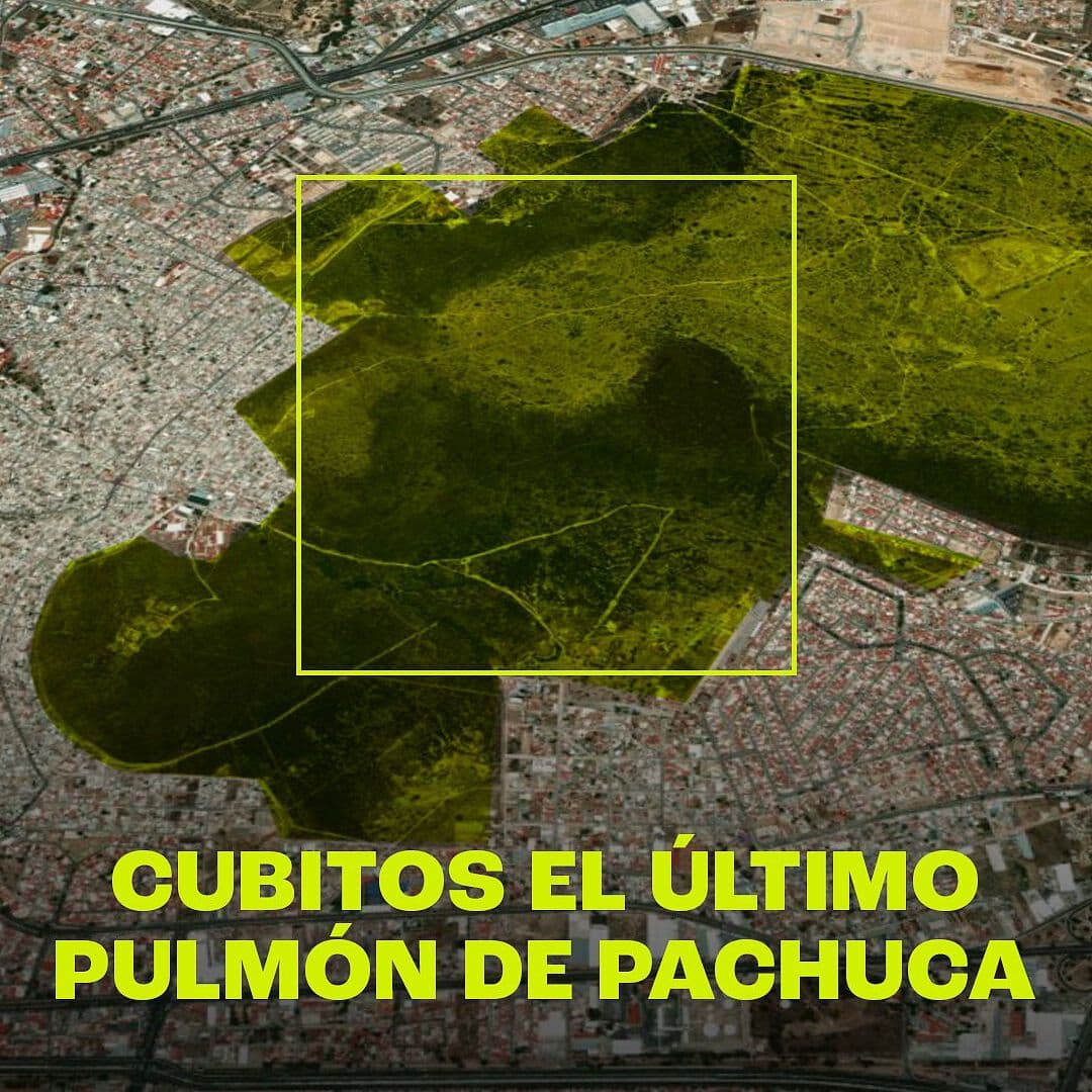 El cerro de Cubitos es hogar de plantas y animales del municipio