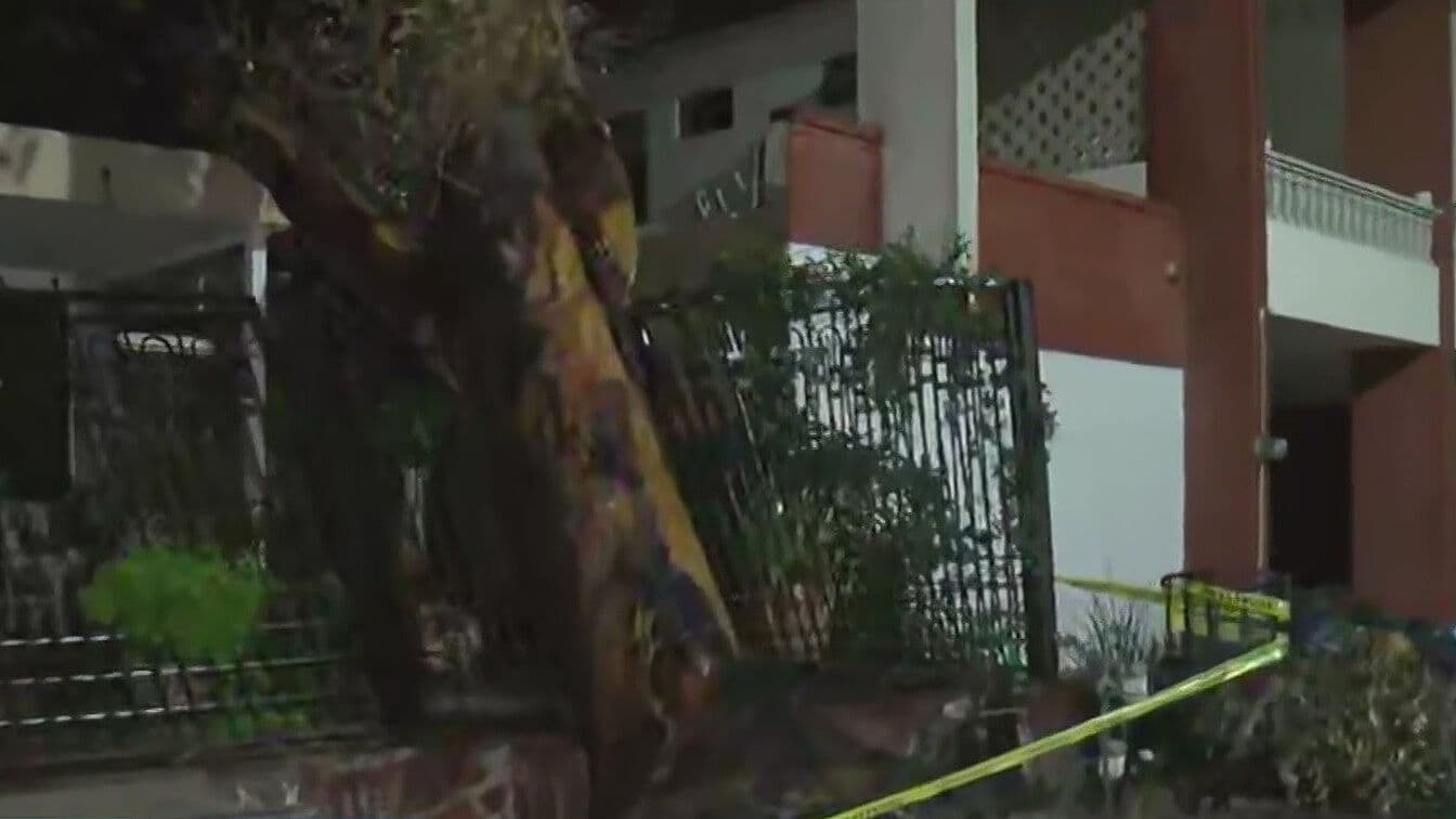 Fuertes Vientos Derriban Árbol en Monterrey