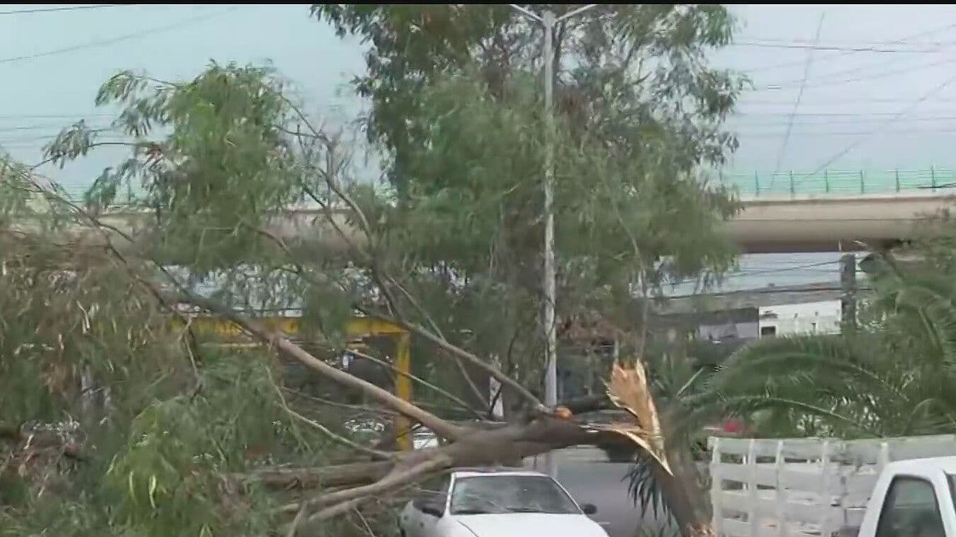 Se Registra Lluvia y Rachas de Viento en NL
