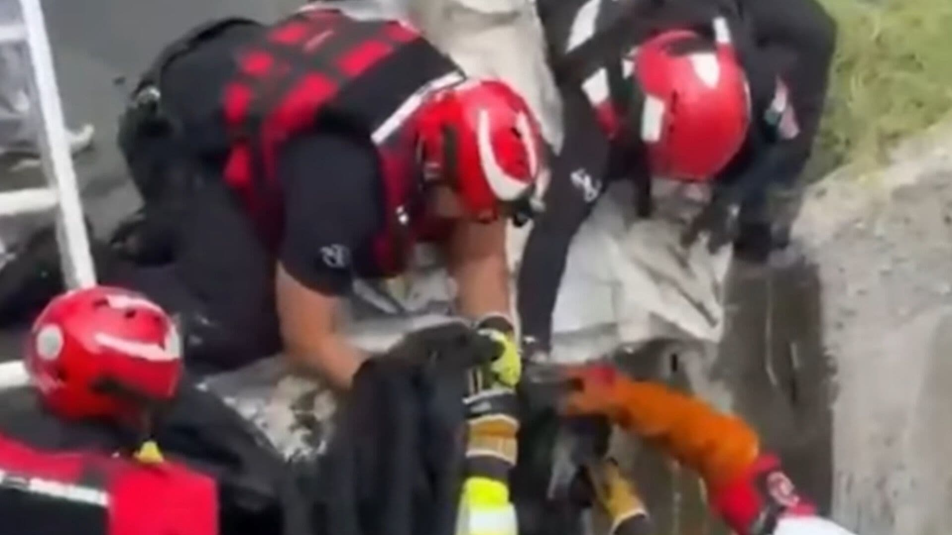 Rescatan a Mapache tras ser Arrastrado por Corriente de Arroyo en Monterrey, NL