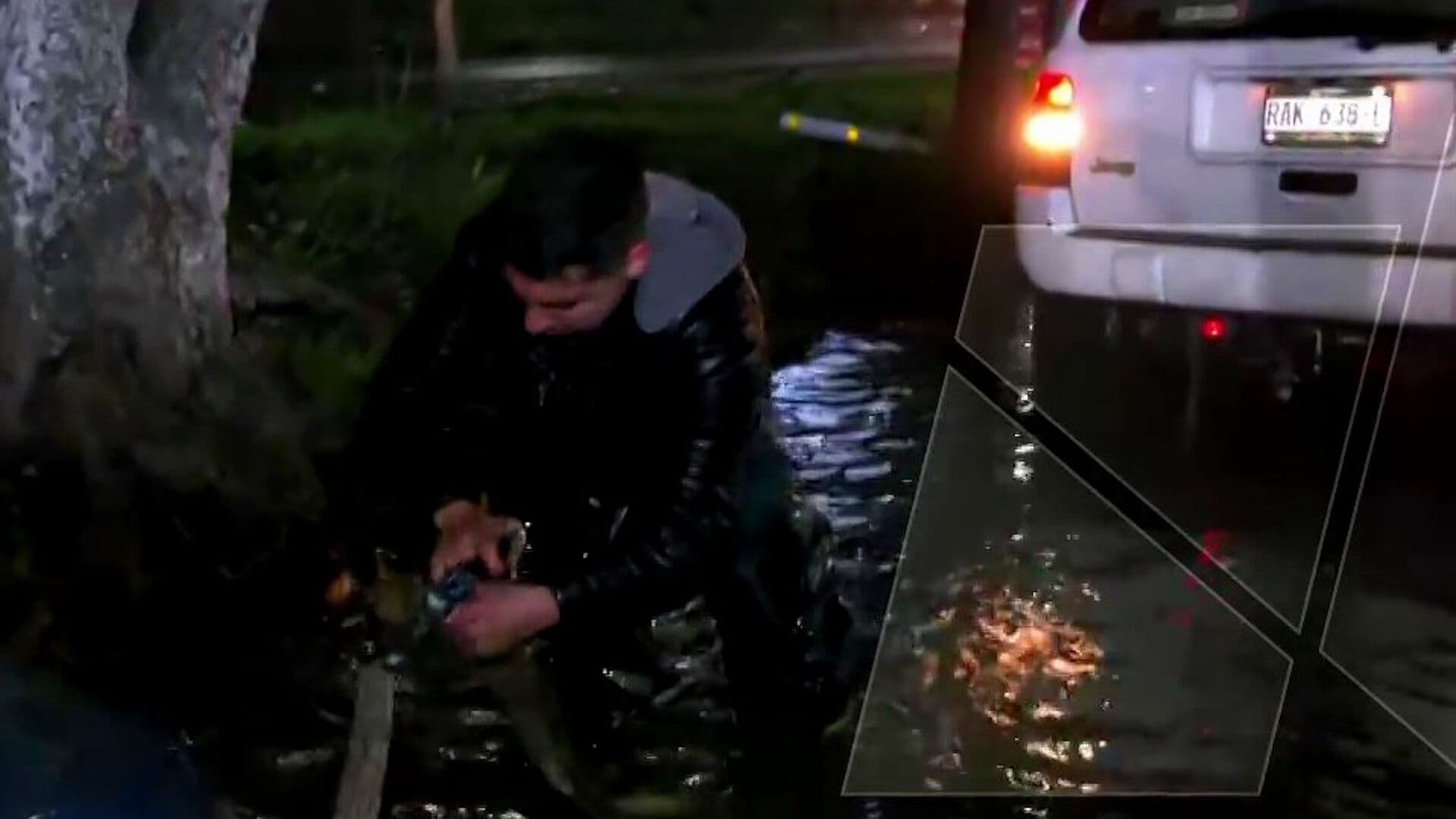 Conductor Remolca Autos Varados por Inundación en Periférico Norte