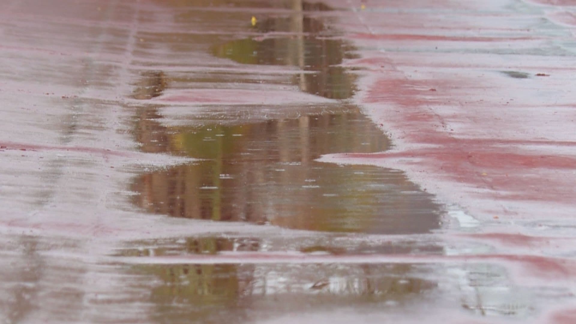 Llaman a Extramar Precauciones por Lluvias y Ciclones en Sonora