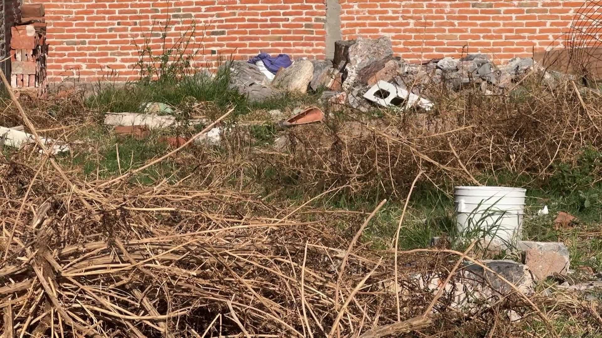 Lotes Sin Mantenimiento en San Luis Potosí Atraen Plagas y Malos Olores
