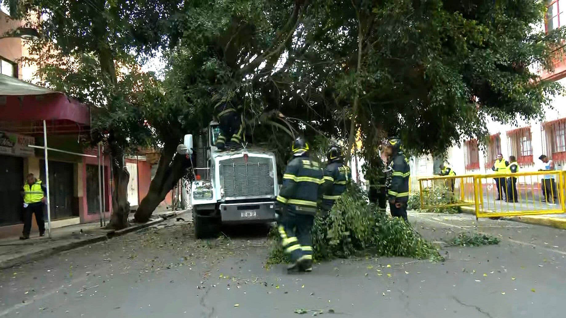 Tráiler Impacta y Tira Árbol en Colonia Centro, CDMX