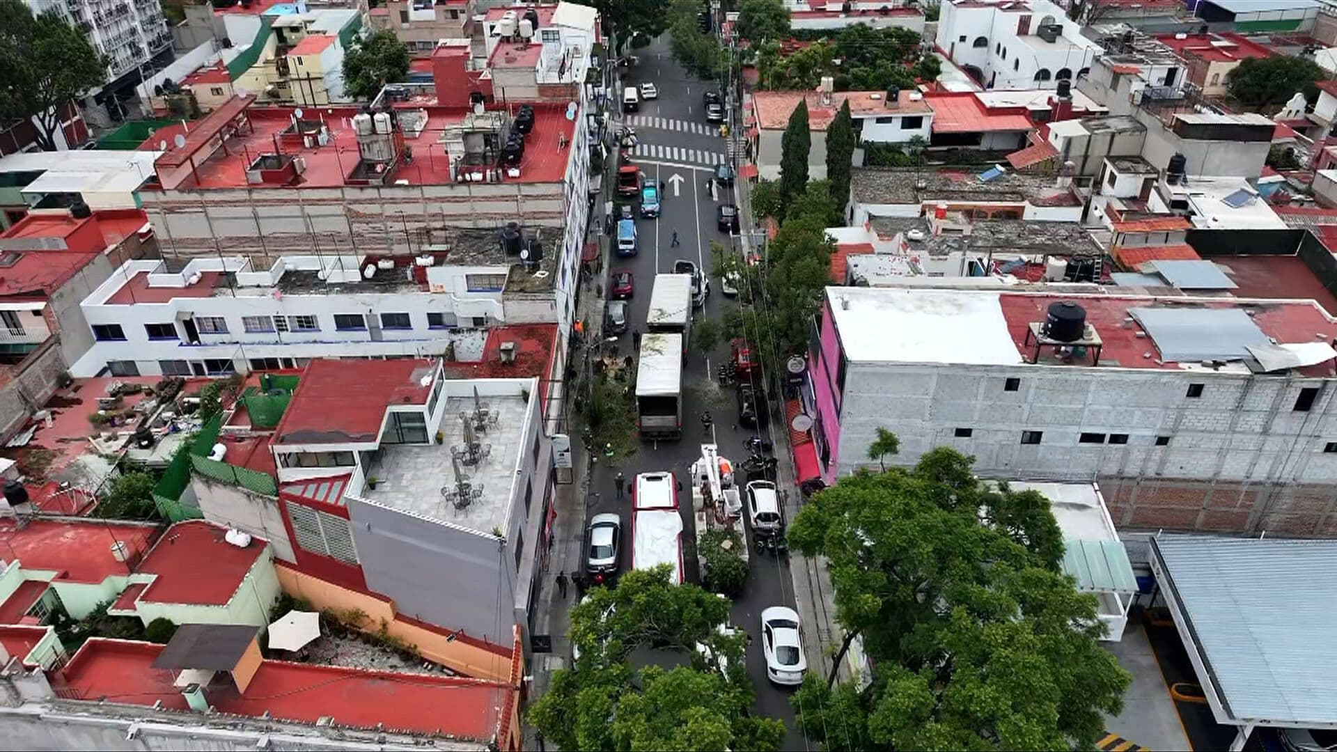 Tráiler se Atora con Árbol en Coyoacán
