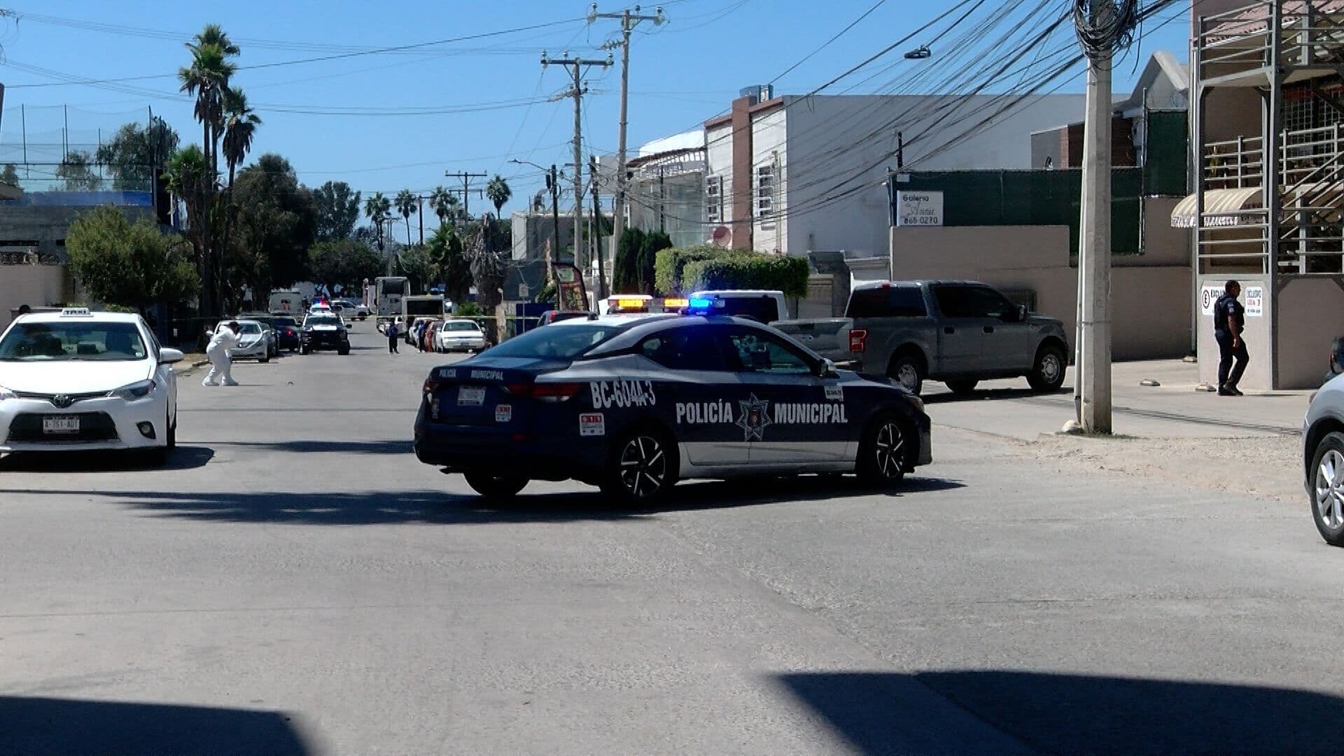 Abogados Piden Protección tras Reciente Asesinato de Compañero en Tijuana, BC