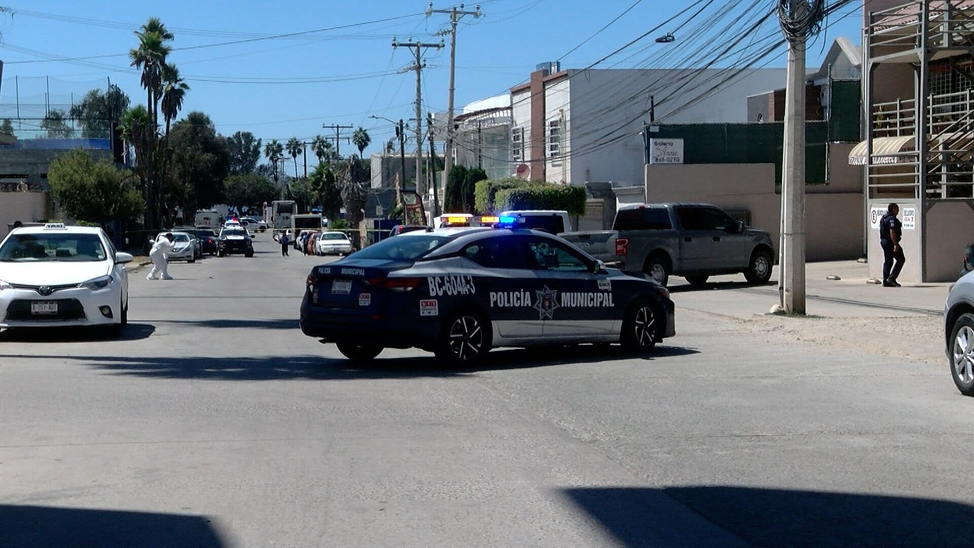Abogados Piden Protección tras Reciente Asesinato de Compañero en Tijuana, BC