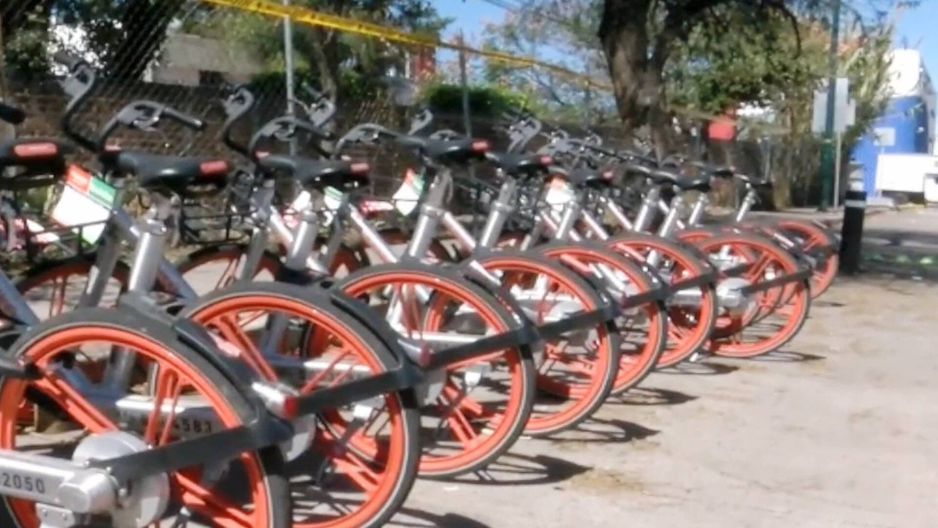 Proyecto de la Renta de Bicicletas Públicas en León Sigue Suspendido