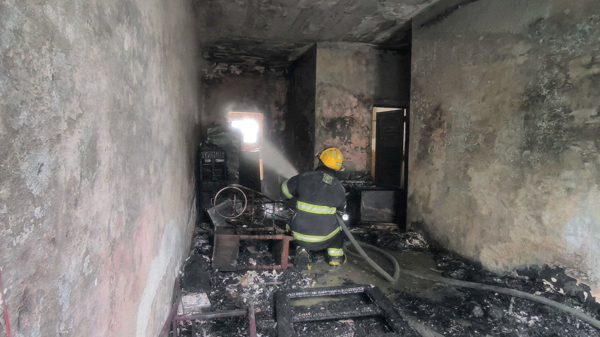Perro Resulta Lesionado en Incendio de Vivienda en Veracruz