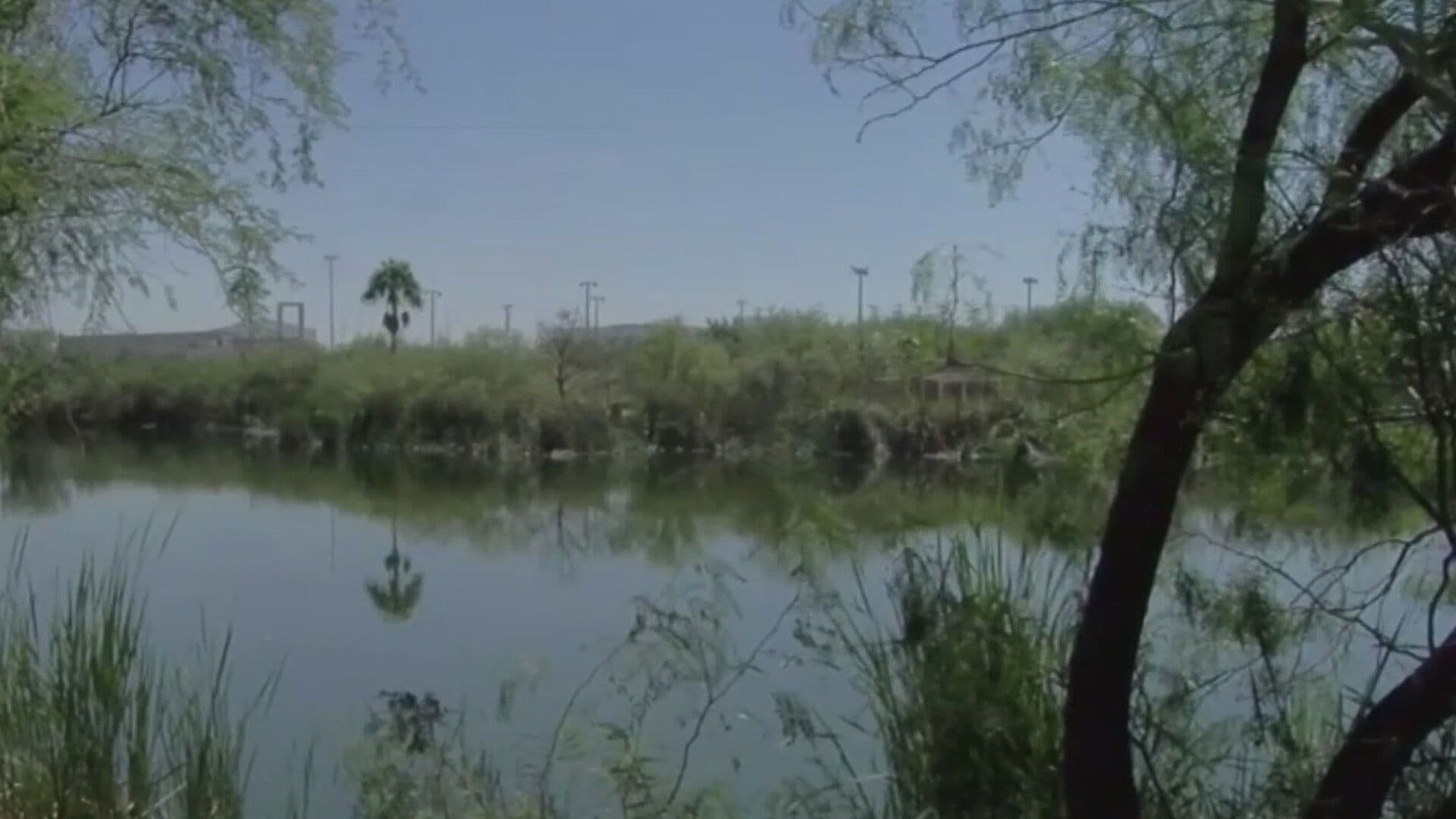 Hallan Peces Muertos en Humedales en Zuazua, Nuevo León