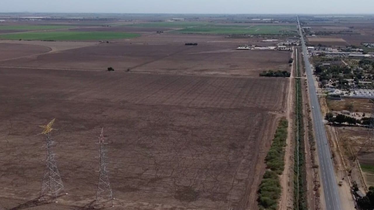 Más de 5 mil Productores de Sonora Reciben Apoyo de Sembrando Vida