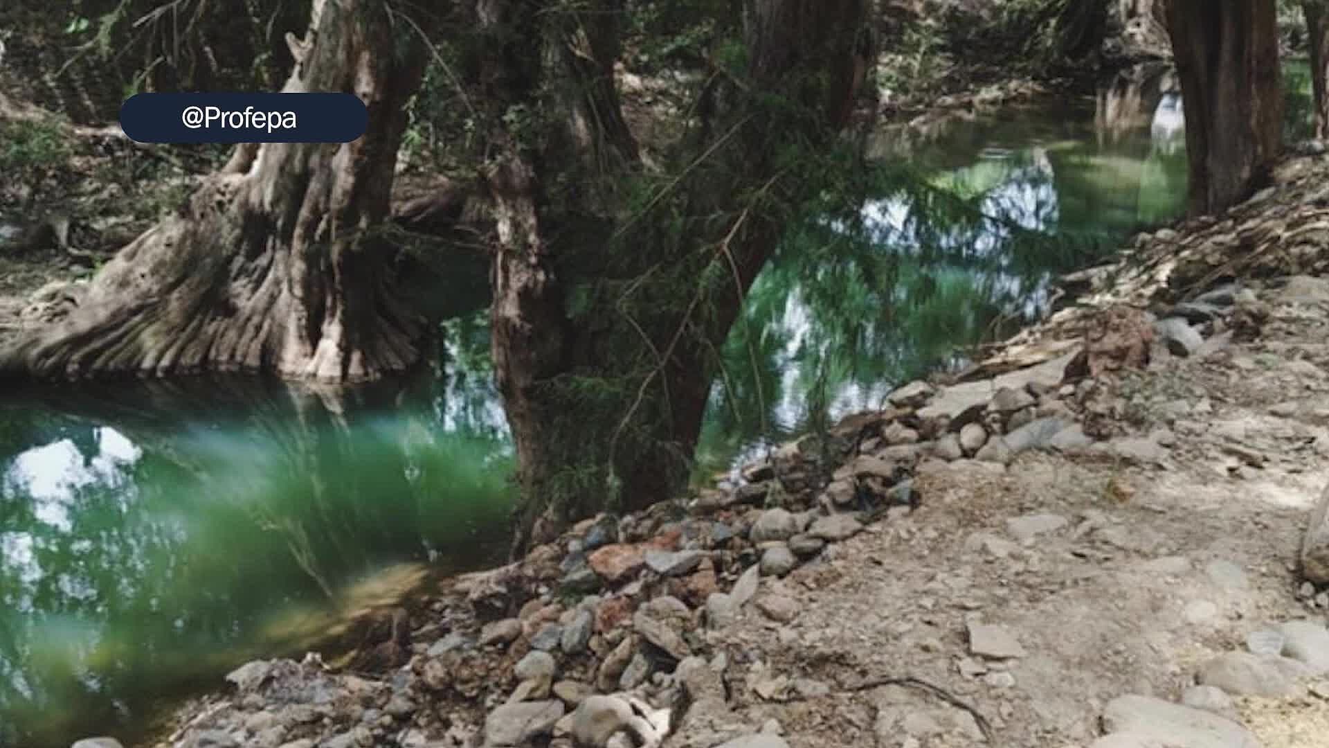 Profepa Clausura Obra que Modificó el Cauce del Río Jalpan en Querétaro