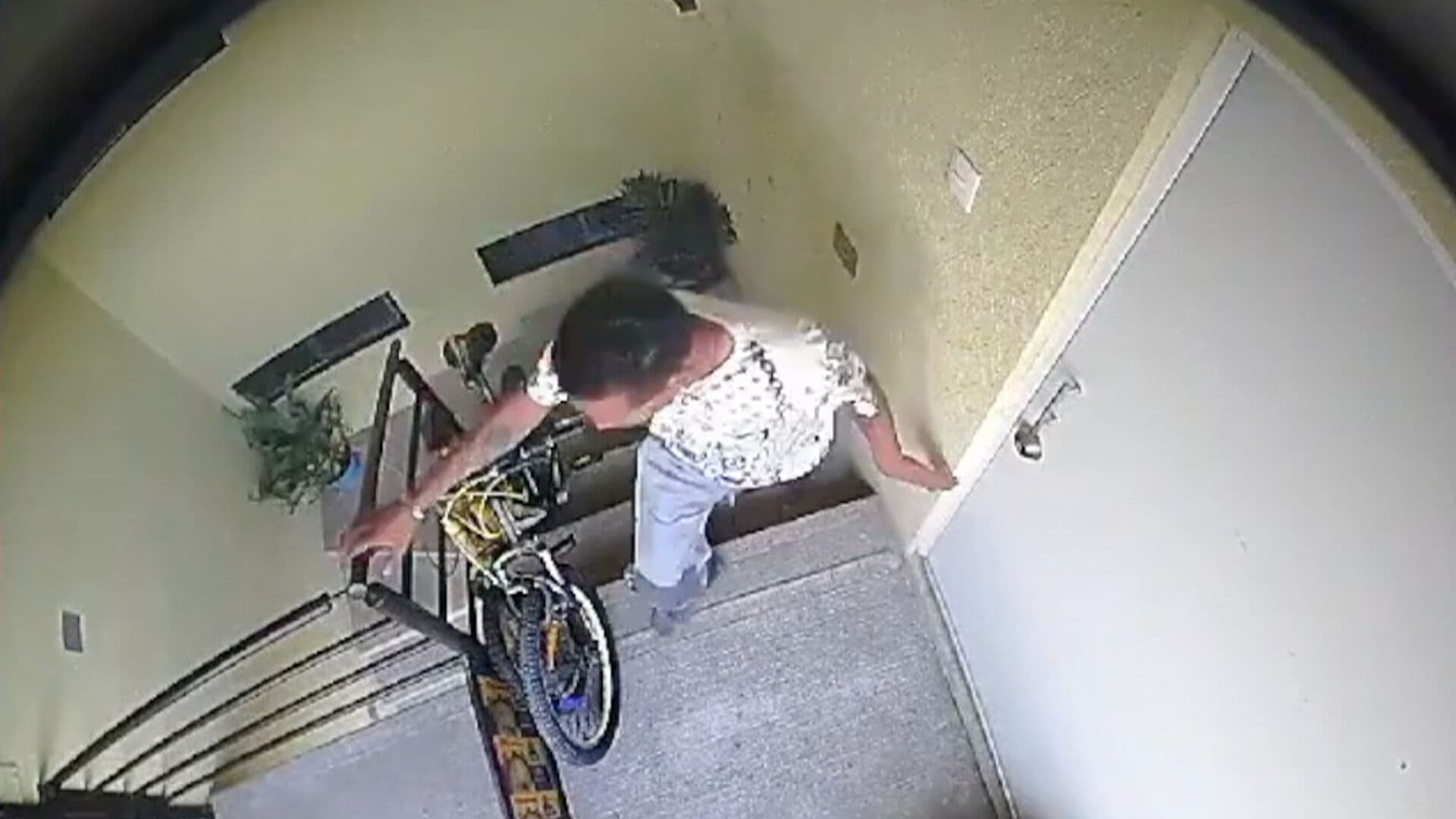 José Javier Sentenciado por Aventar a Perro desde Tercer Piso en Huejotzingo Puebla