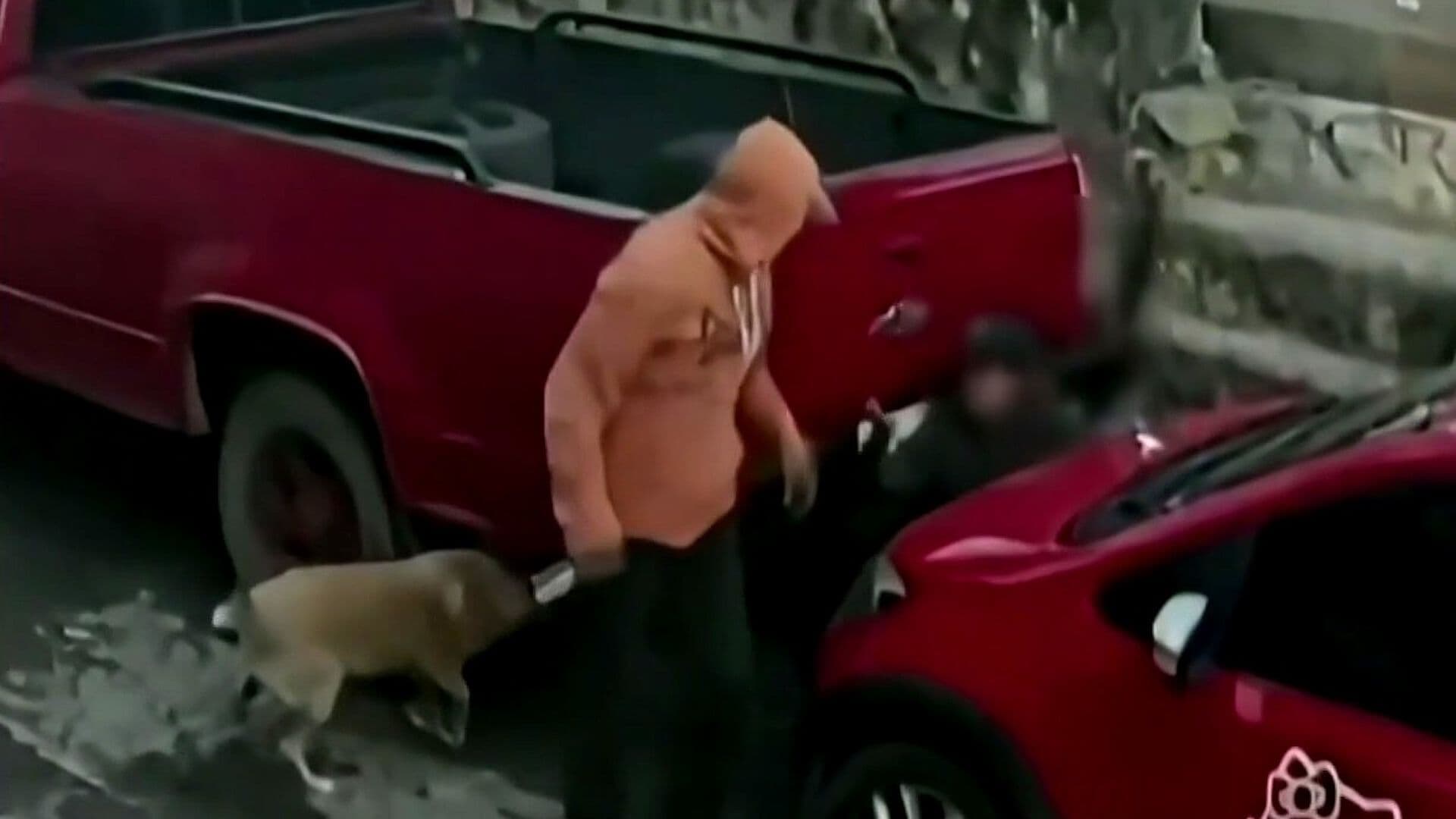 Hombre Ataca con Cuchillo a su Pareja Mientras Paseaba a sus Perros en Naucalpan
