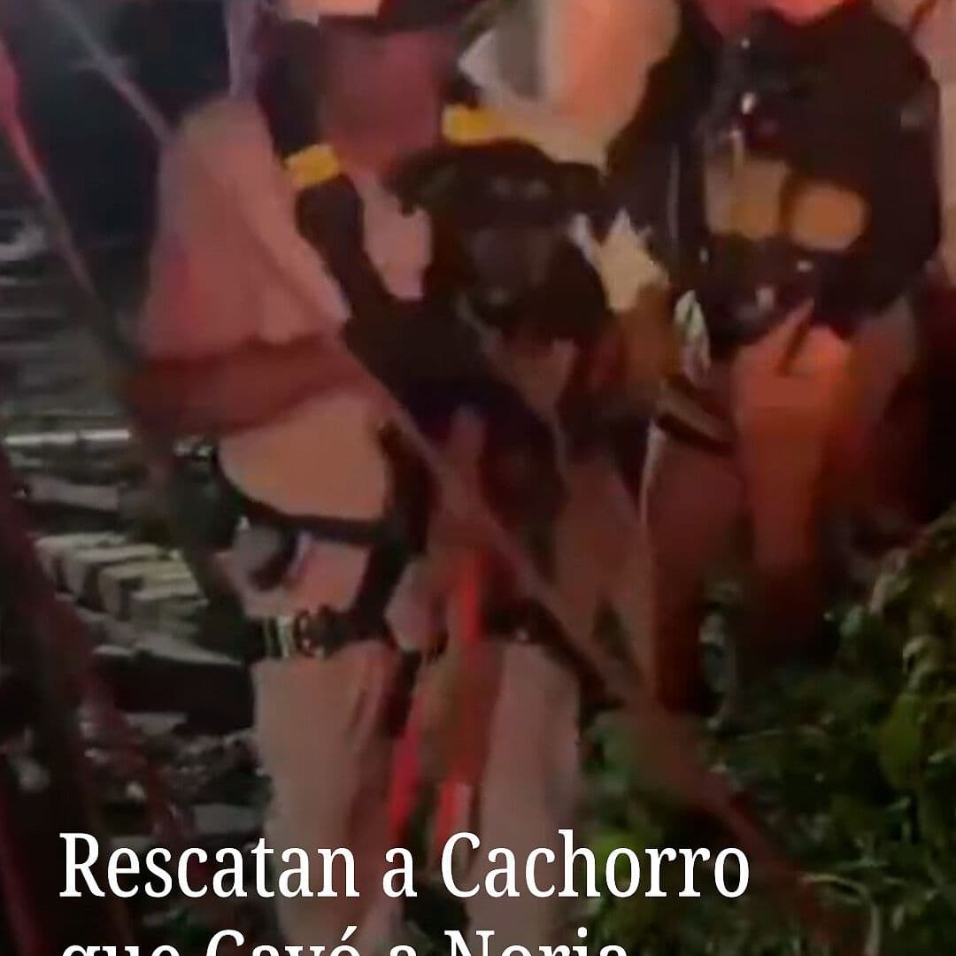 Rescatan a Cachorro que Cayó a Noria
