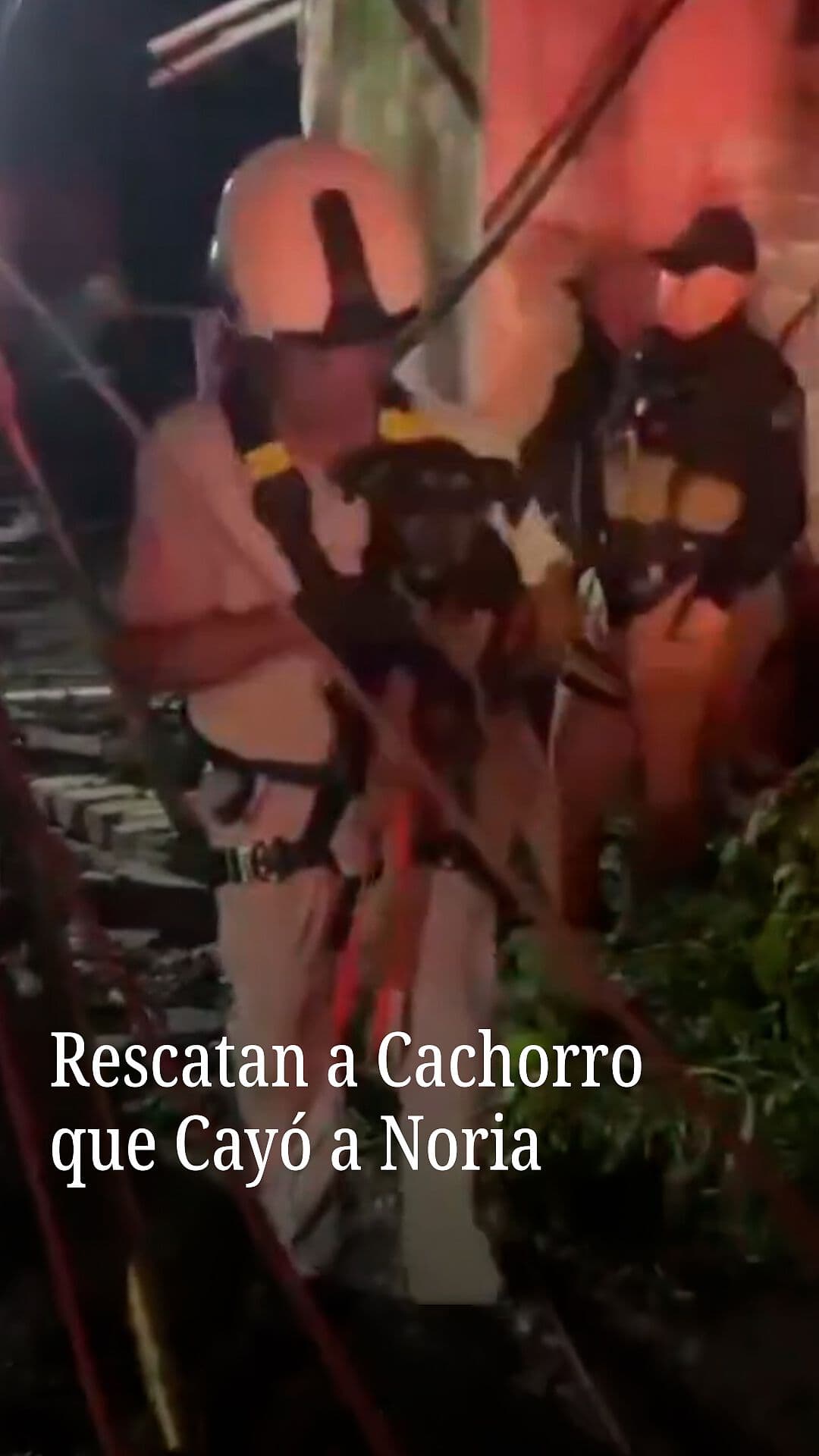 Rescatan a Cachorro que Cayó a Noria