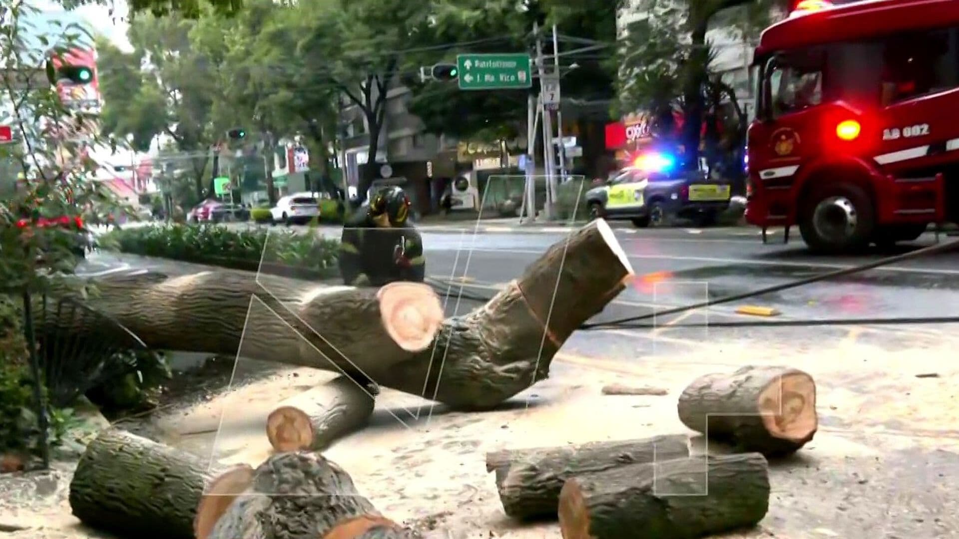 Árbol de 15 Metros Cae y se Lleva Cableado en Eje 7 Sur y Moras, CDMX