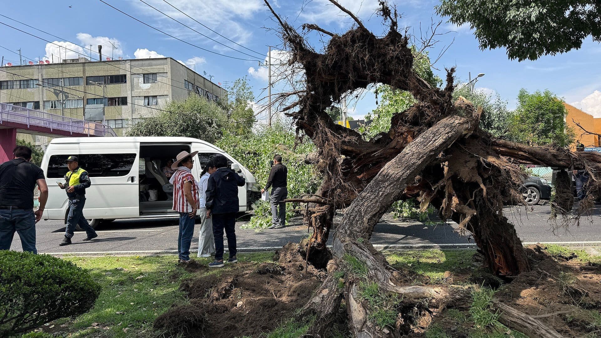Árbol Cae sobre Dos Vehículos en Viaducto y Deja 6 Lesionados en CDMX
