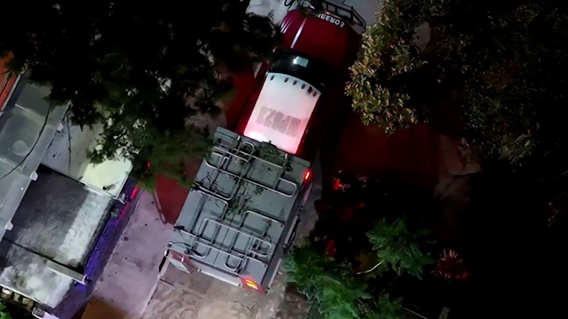 Retiran Árbol Caído dentro de las Instalaciones del CCH Oriente en Iztapalapa, CDMX