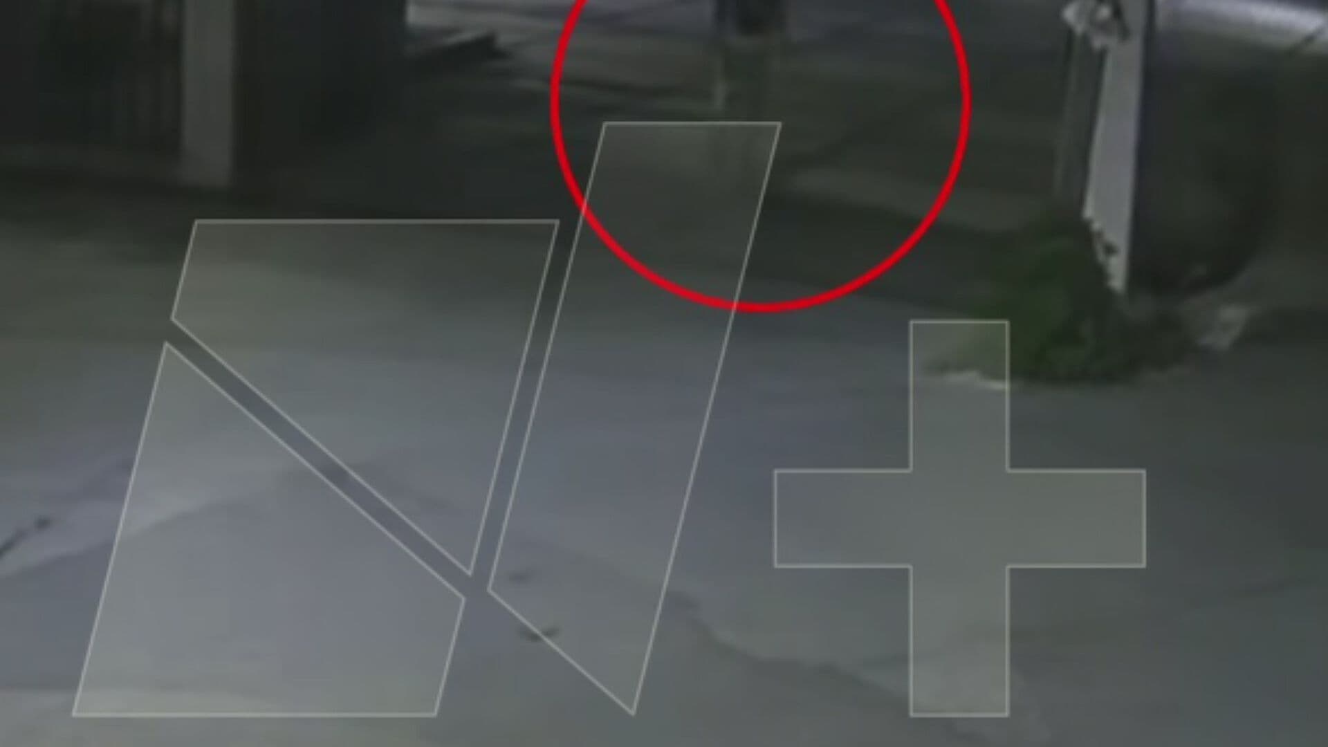 Video | Momento en que Agresor de Claudia Tacoronte Entra y Sale de Casa de Cultura de Cuautla
