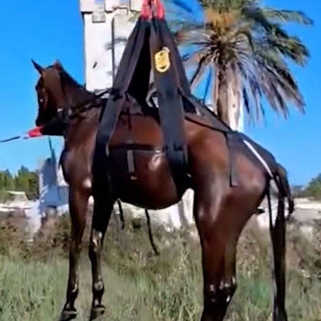 Usan Helicóptero para Rescatar a un Caballo