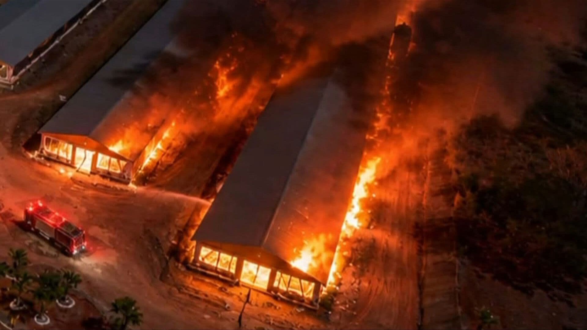 Incendio Consume Tres Naves Avícolas y Mata a 7 Mil Aves en Nayarit