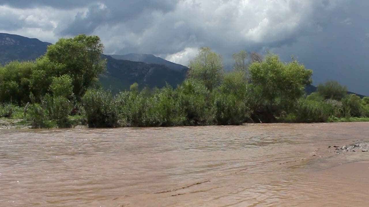 Semarnat Prepara Remediación de Suelos Contaminados en la Cuenca del Río Sonora