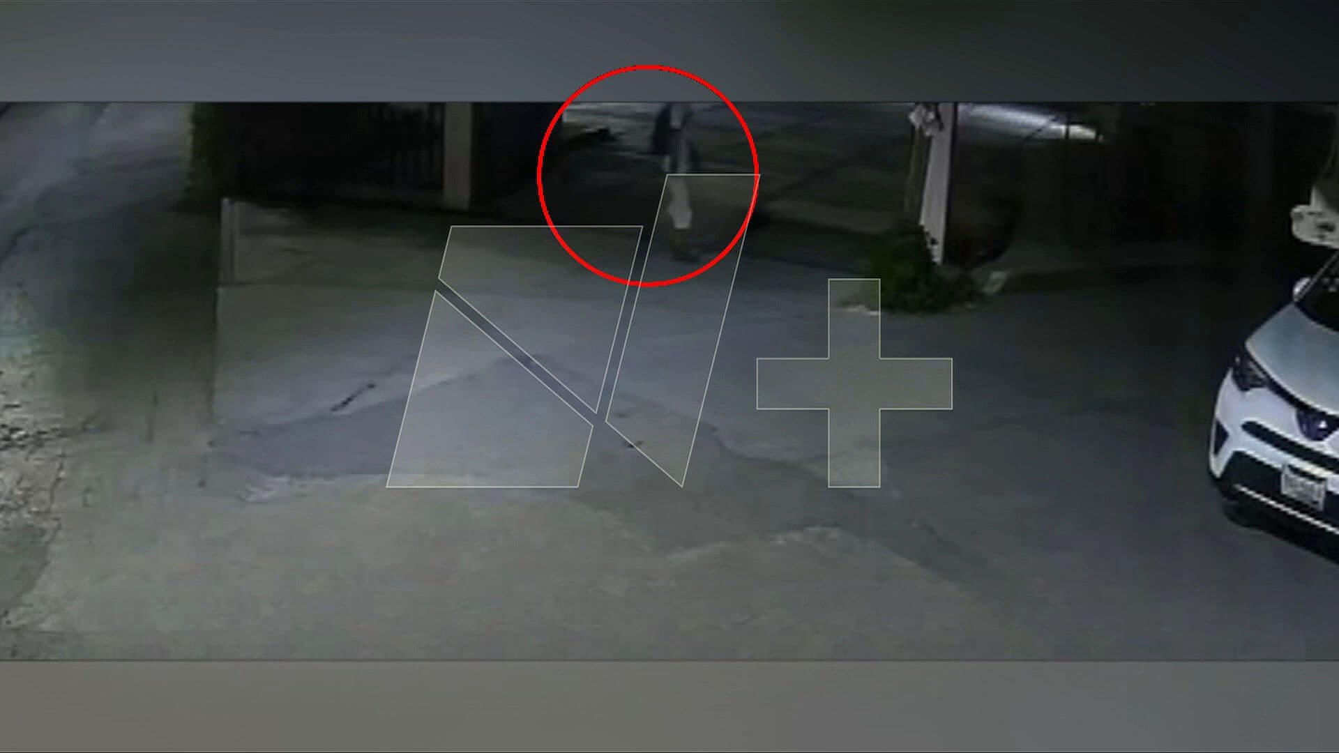 ‘Este Cuate la Agredió’: Así Huyó el Feminicida de Estudiante Española en Morelos
