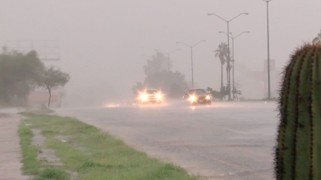 Suspenden Clases en Empalme, Sonora por Tormenta y Fuertes Rachas de Viento