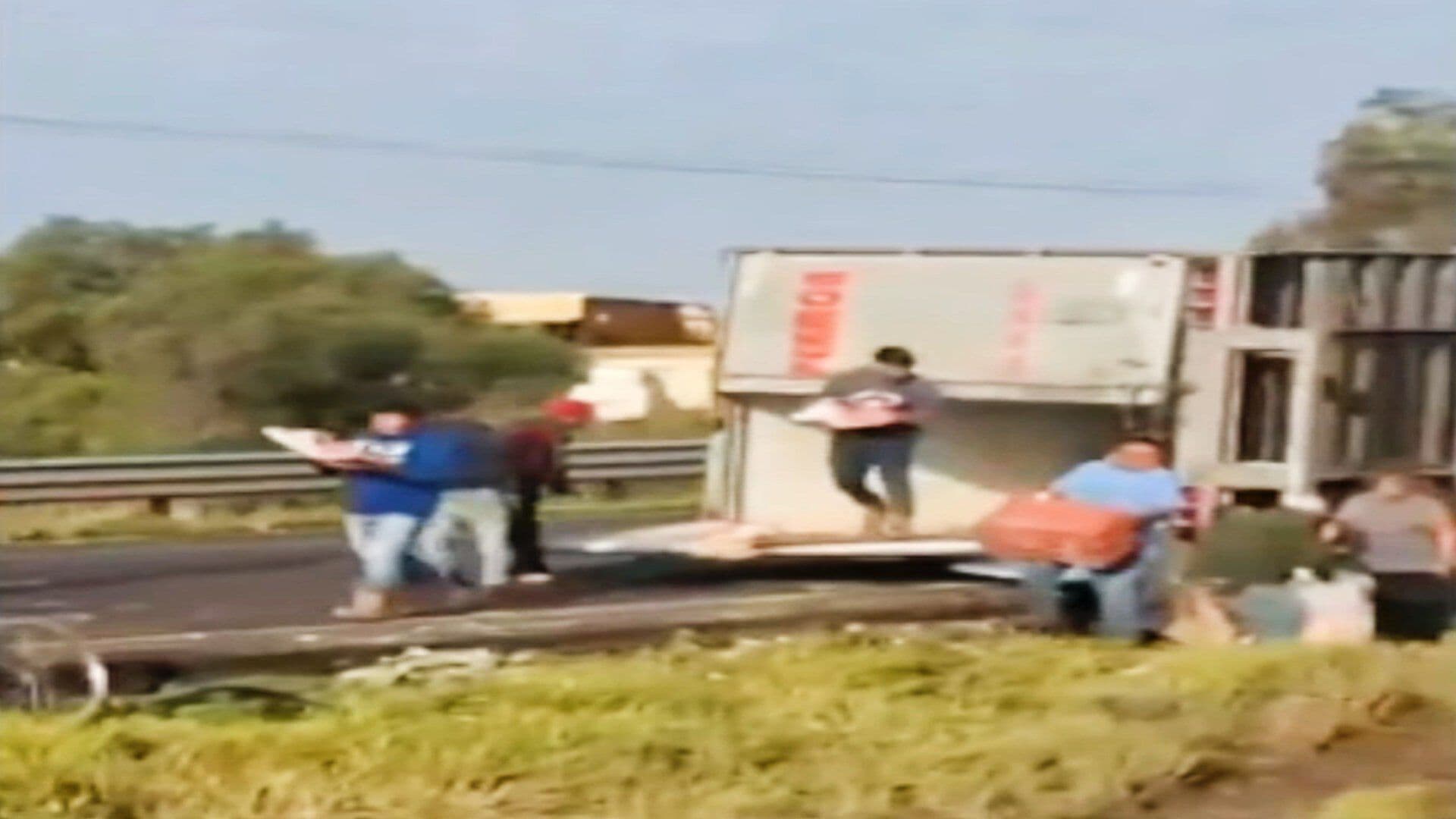 Tráiler Vuelca con Carne de Cerdo y Vecinos Hacen Rapiña en Carreteras de Guanajuato