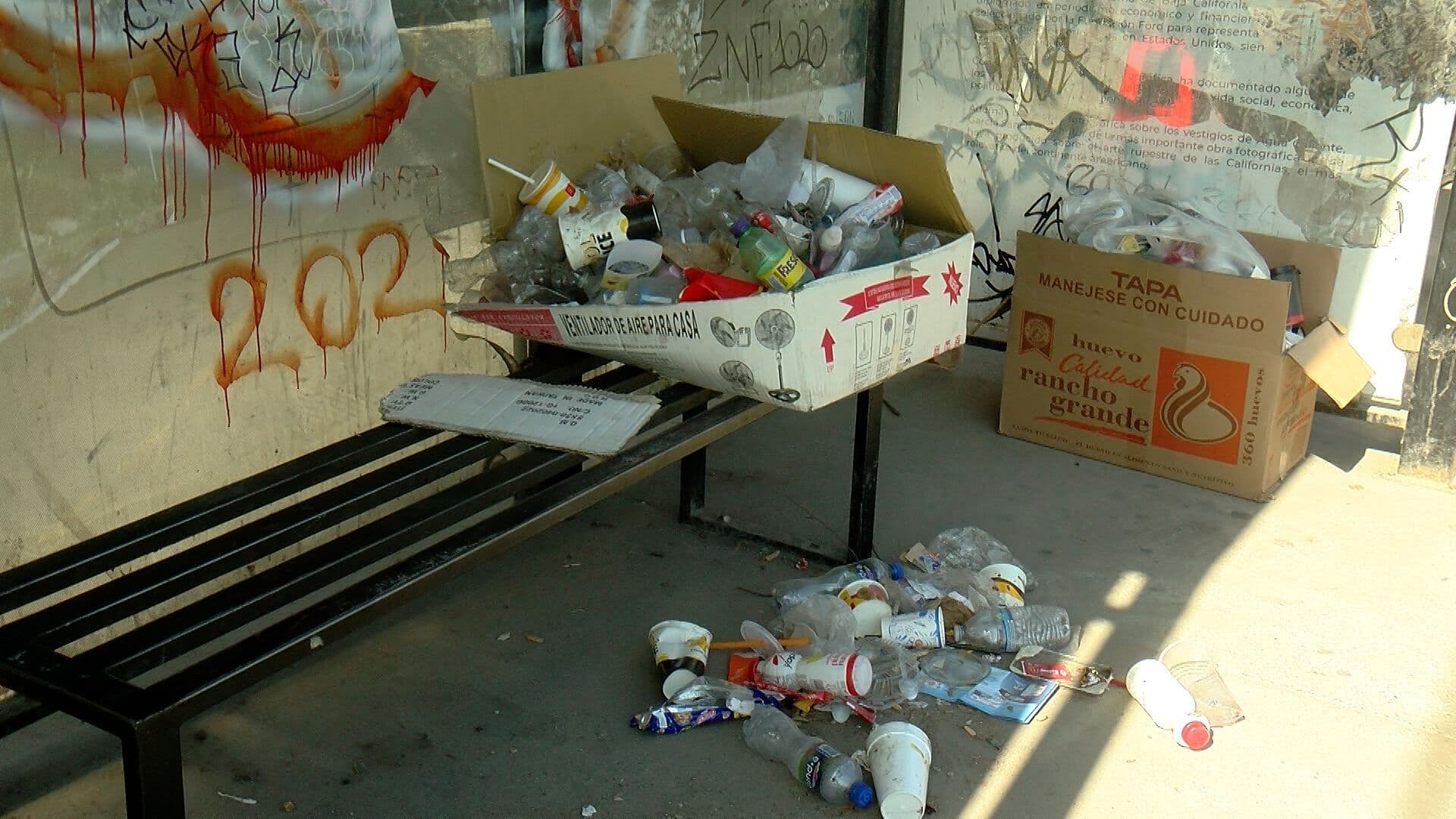 Denuncian Basura Acumulada en Espacios Públicos en Tijuana, BC