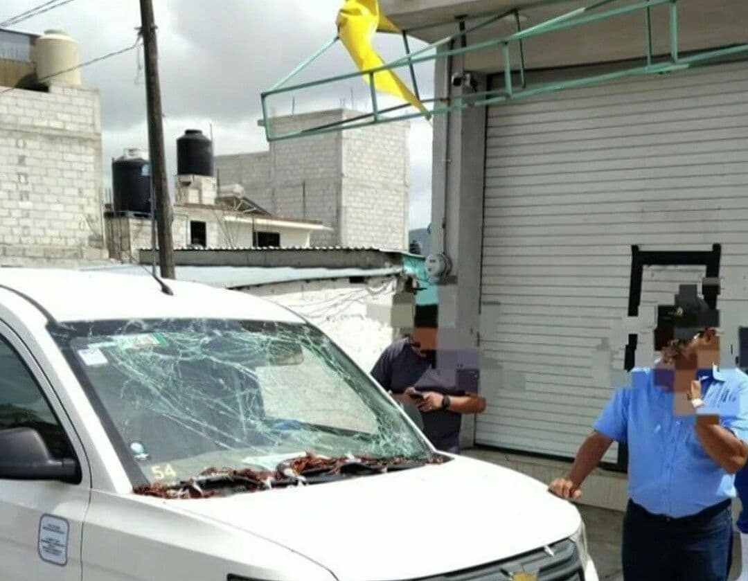 De la Quema de Árboles a la Muerte de Perros: Saldo de la Pirotecnia durante El Grito