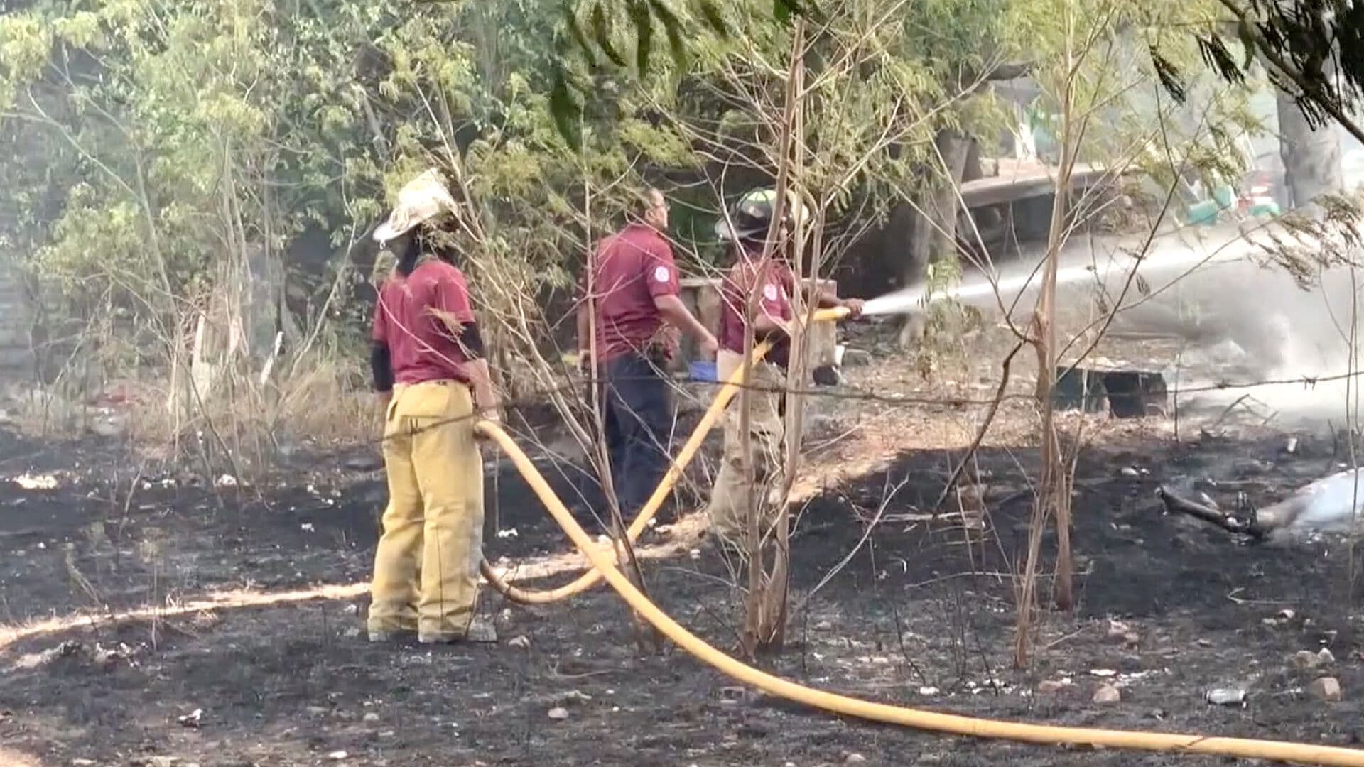 Continúan Incendios en Terrenos Baldíos en Ciudad Victoria, Tamaulipas
