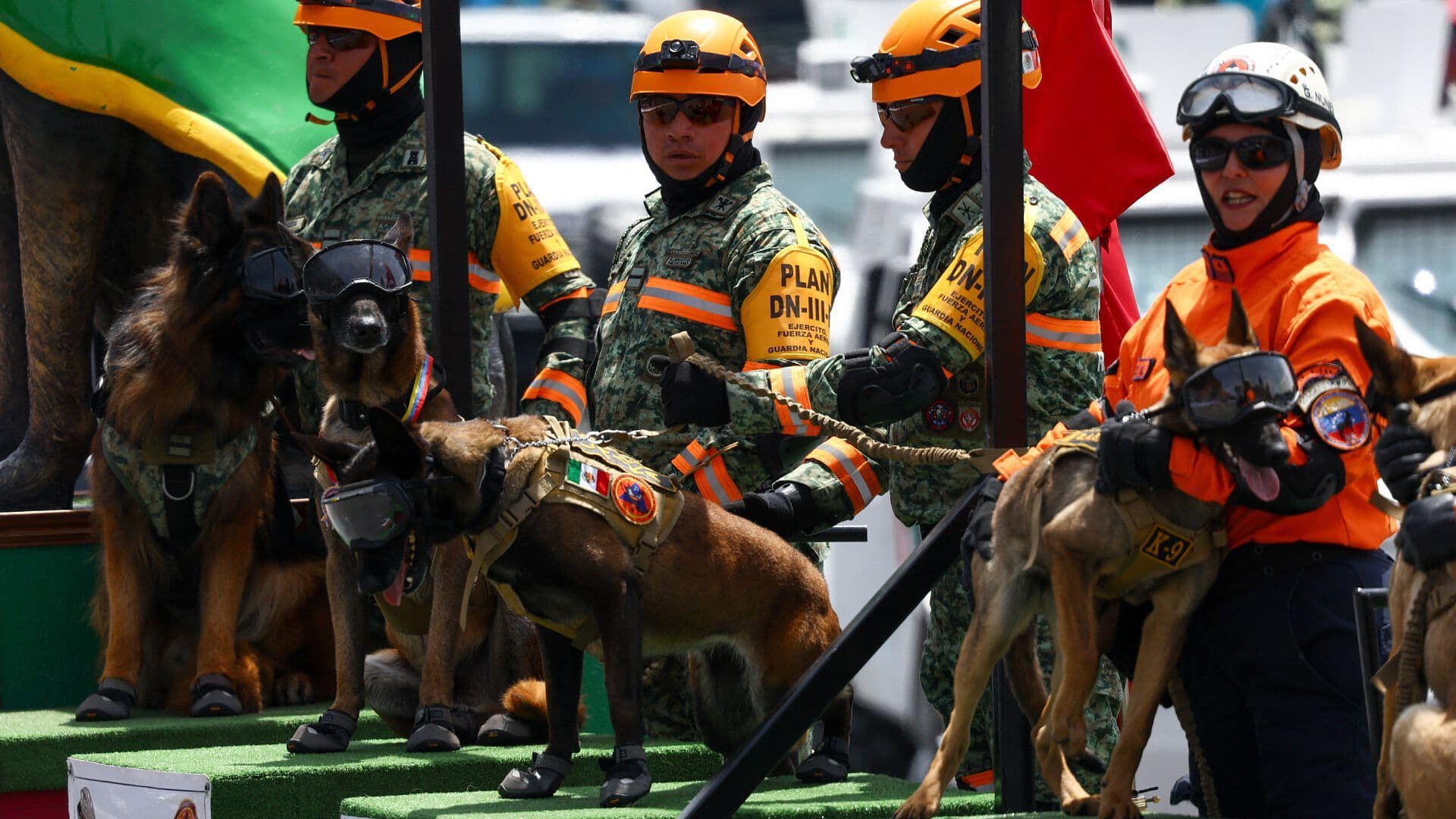 Así se Vivió el Desfile Cívico Militar