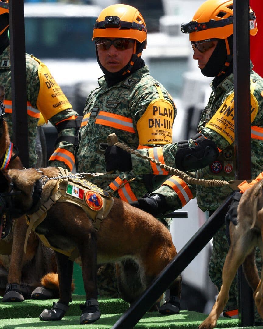 Así se Vivió el Desfile Cívico Militar