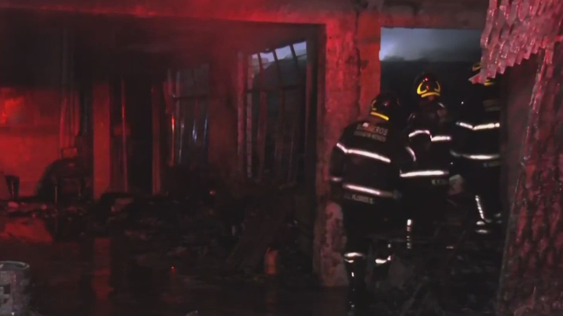 Mueren 14 Perros en Incendio de Casa en CDMX; Pirotecnia Habría Causado Tragedia