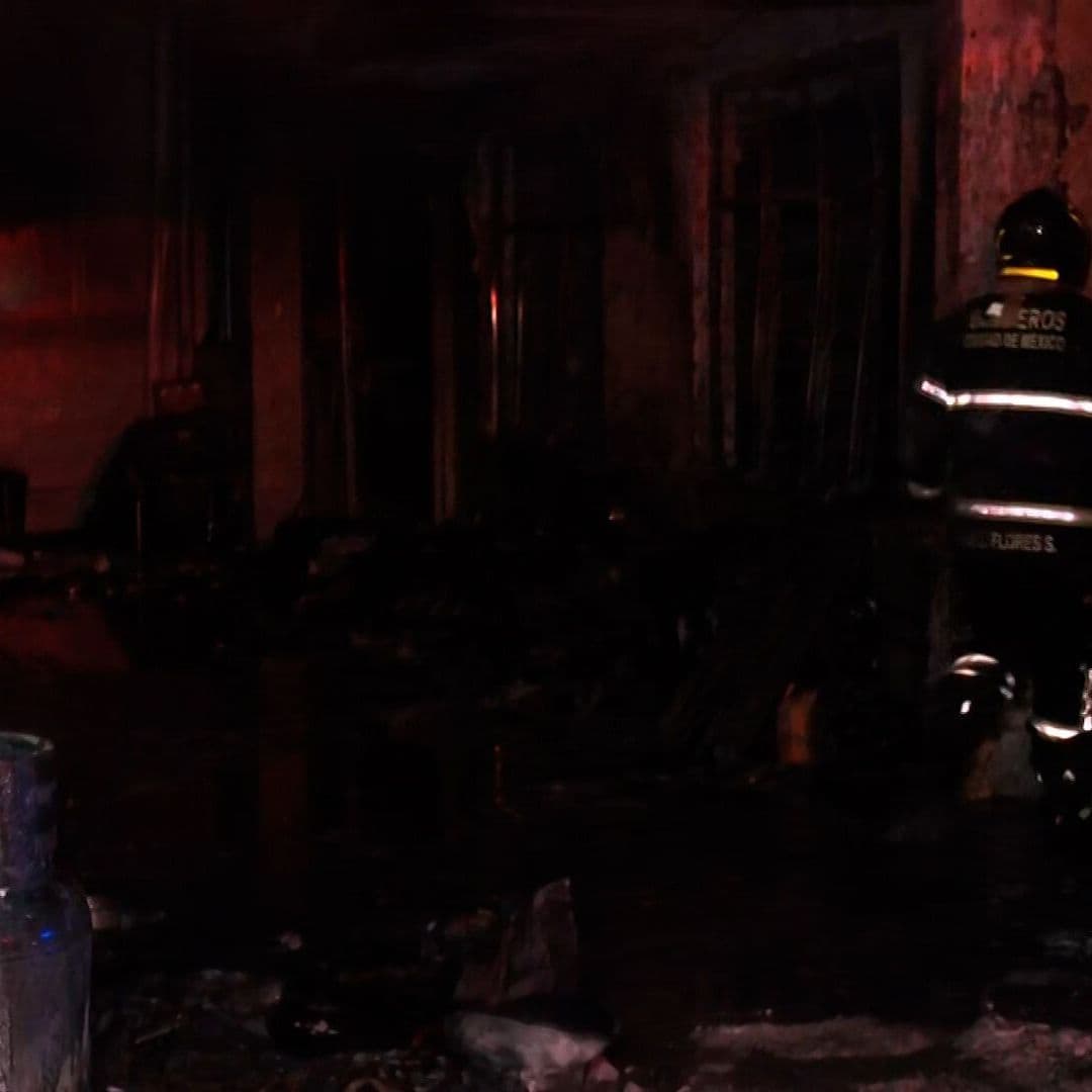 14 Perros Mueren en Incendio en CDMX