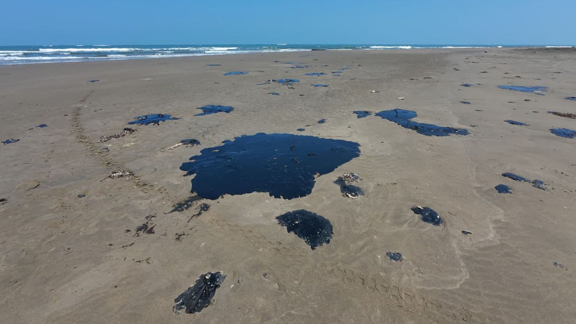 Preocupa Impacto Ambiental por Derrame de Hidrocarburo en Costas de Campeche