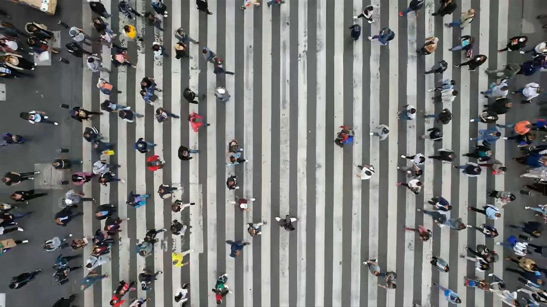 Opiniones Políticas y Ser Mujer: Causas que Motivan Ser Discriminado en CDMX