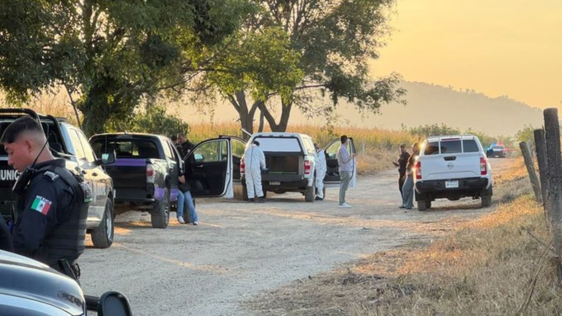 Asesinan a Otra Estudiante: Hallan Cuerpo de Karla en Predio en Zapopan, Jalisco