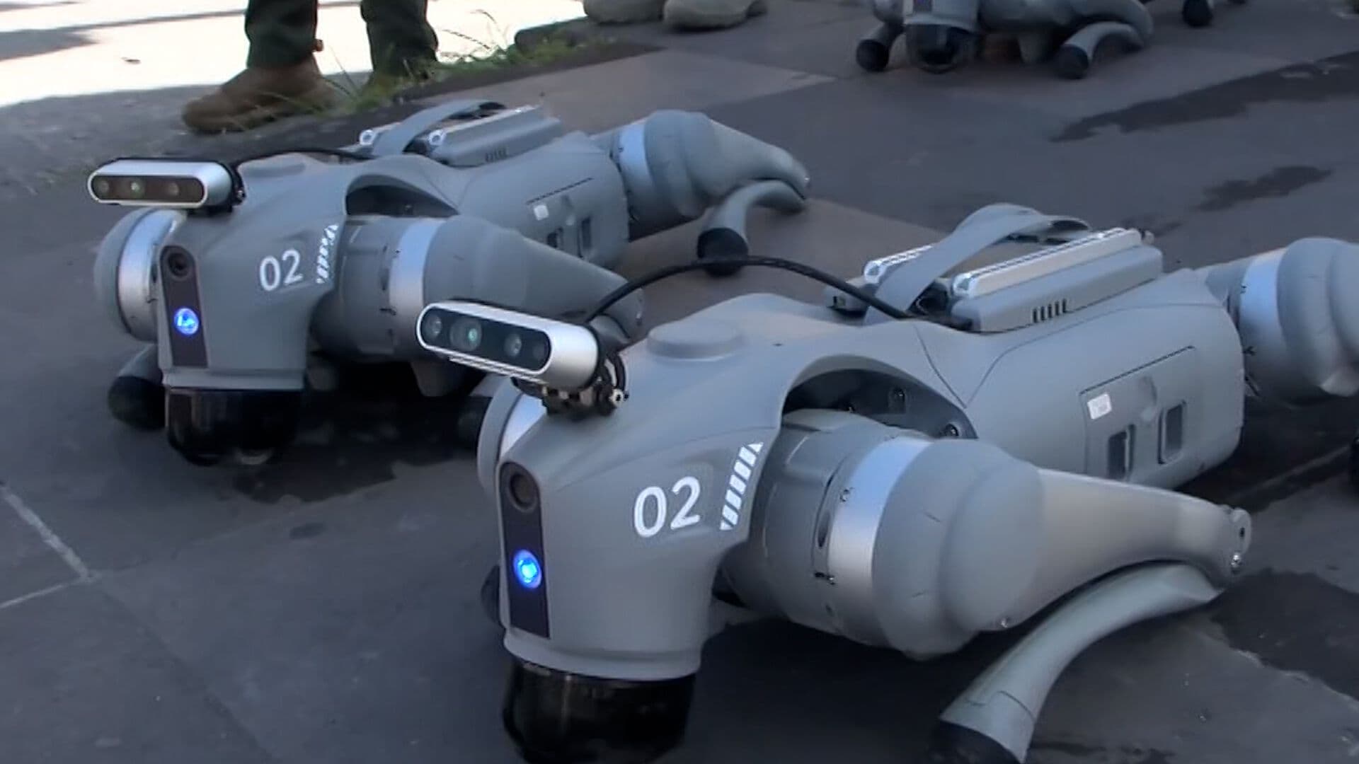 Perros Robot se Suman a Seguridad