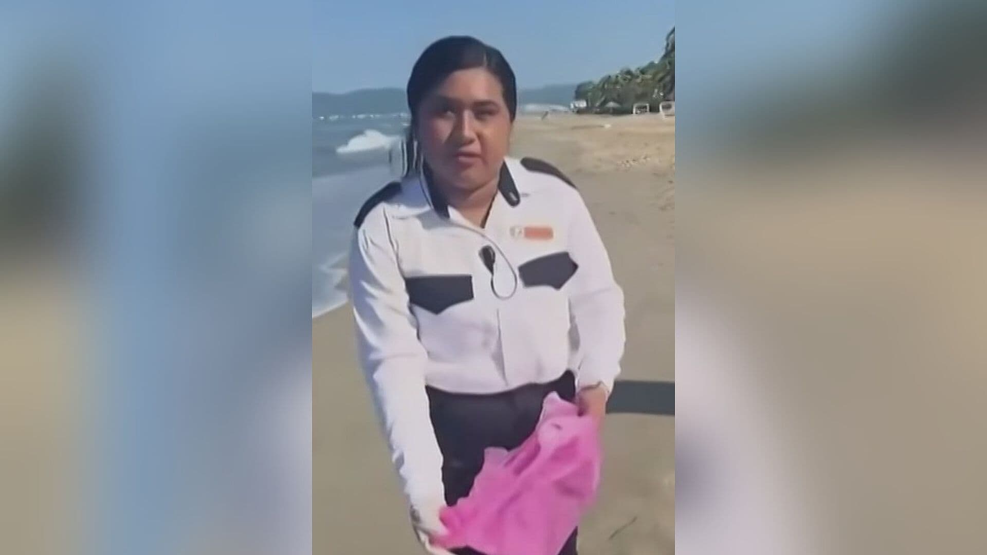 Turista Capta Momento en que la Trabajadora de un Hotel Guarda Crías de Tortuga en una Bolsa