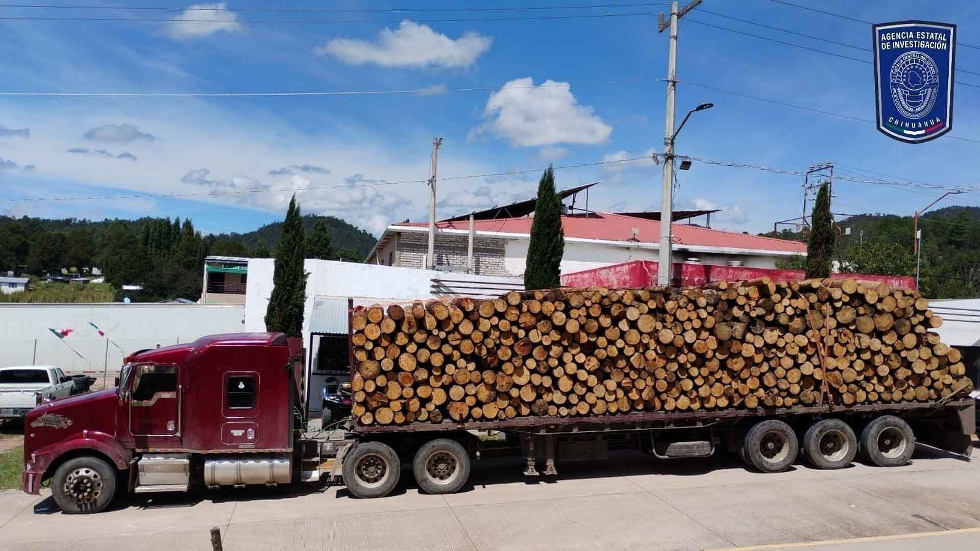 Detienen a Chofer de Tráiler por Delitos Ambientales en Ocampo, Chihuahua