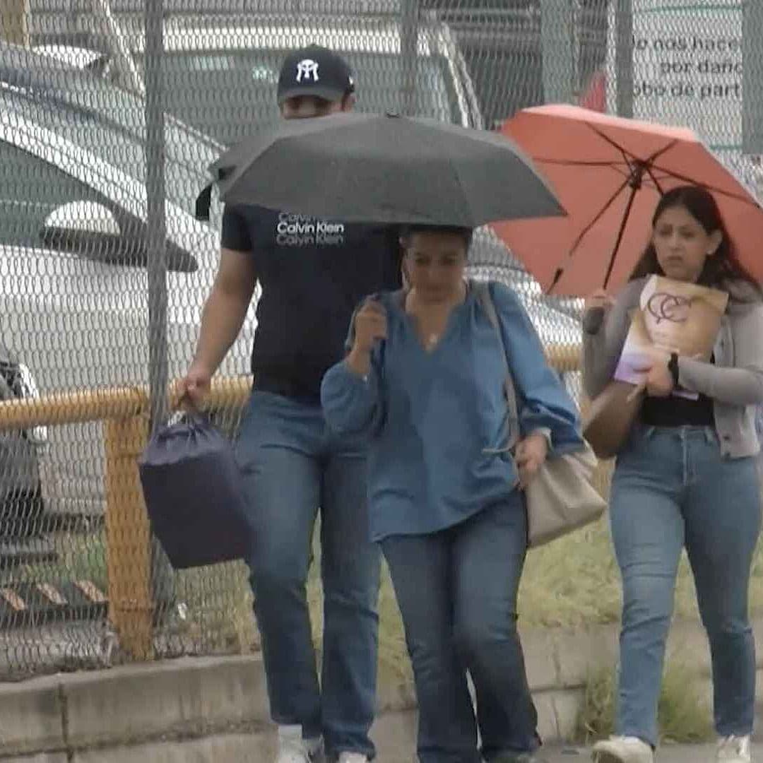 Aumenta Presencia de Mosquitos Tras Lluvias en Ciudad Juárez