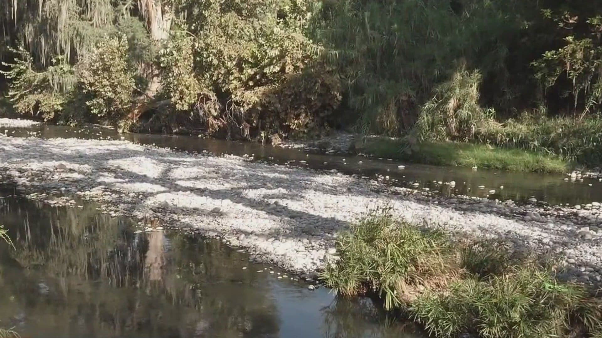 Contaminan Río La Silla con Descargas de Aguas Negras en Guadalupe