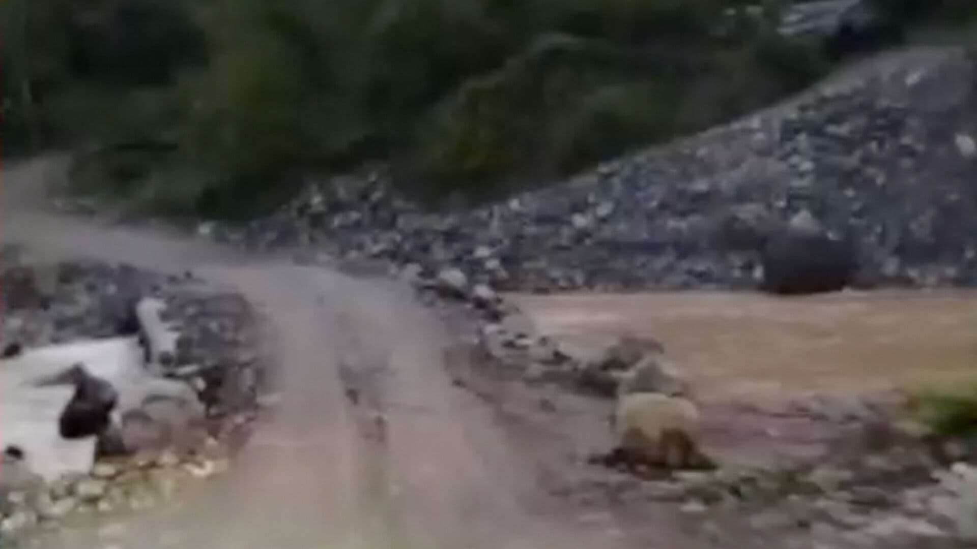 Deslave Derrumbe Lluvias Cierre Carretera Tenango de Doria Tulancingo Puebla