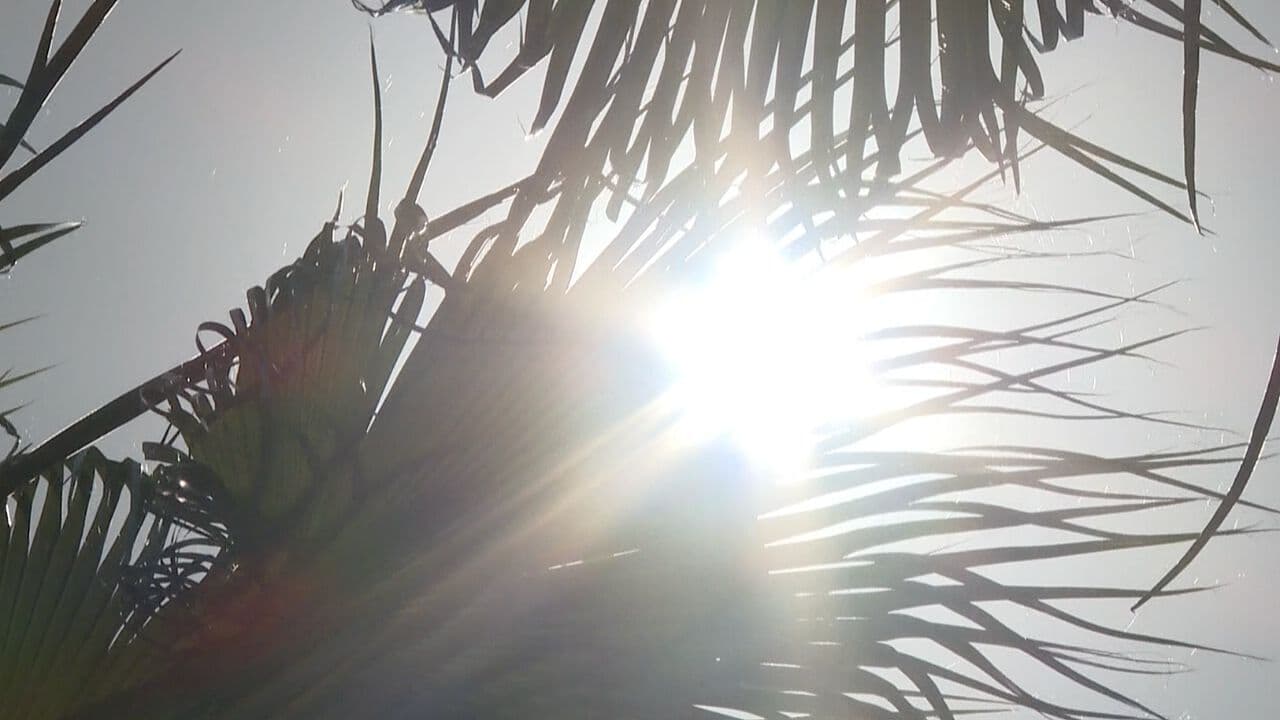 Disminuyen Lluvias y Aumentará el Calor en Sonora Durante los Próximos Días